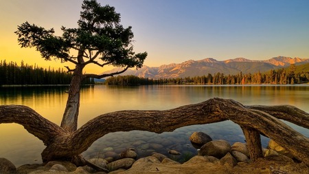 Clear Lake - mountains, sky, lake, trees