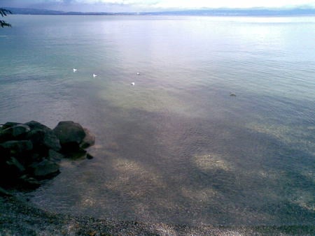 France - lake, nature, water, peace