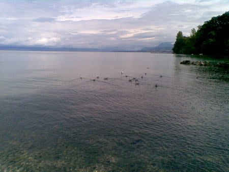 France - lake, water, nature, peace