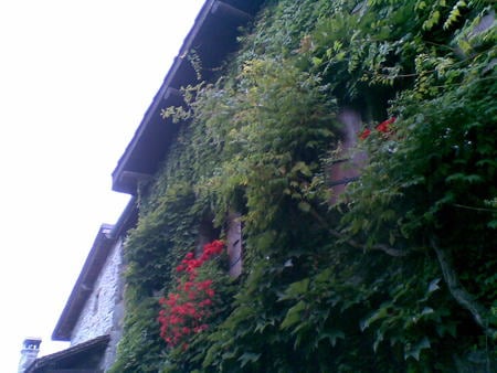 France - house, flowers, nature, old