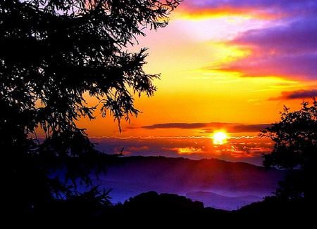 Marking another day's end - trees, clouds, golden sky, sunset, purple mists