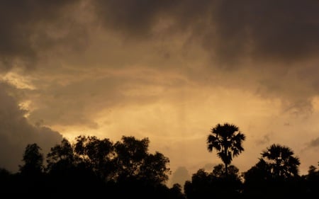 Dusk in Cambodia - clouds, trees, palms, beautiful, nature, twilight, overcast, dusk, sky