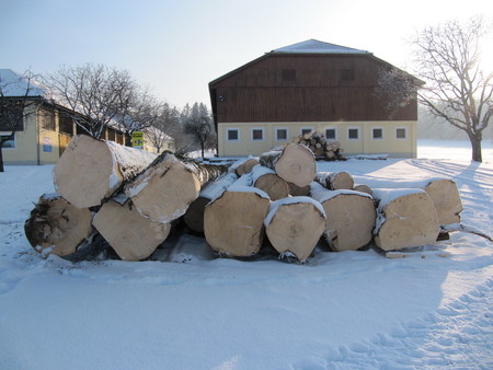 gut holz - schnee, holz, bauer, haus