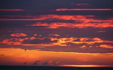 Sunset in Ste Anne Des Monts - nature, cloud, beautiful, formations, colors, sunset, sea, gulls