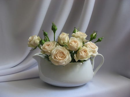 still life - vase, roses, beautiful, photography, photo, cool, flower, still life, gentle, bouquet, jug, harmony, flowers, white, rose, nice