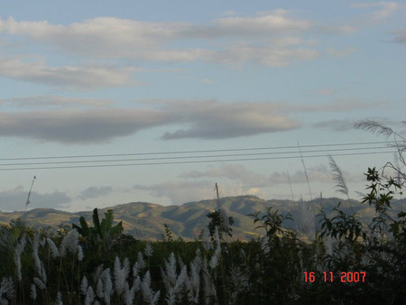 sky,mountain,flower - flower, nature, mountain, sky