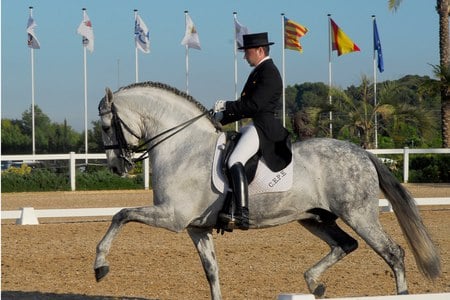 Brilliant performance - spanish, dressage, grey, horses, andalusian