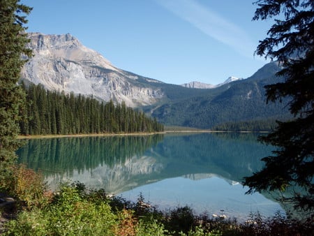 Emerald Lake - reflections, pines, trees, alberta, mountains, peace