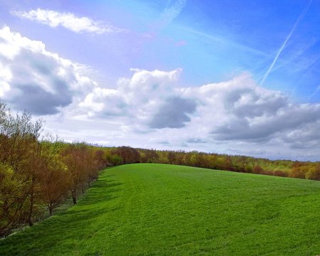 Green field - cloud, sky, landscape, field, grass