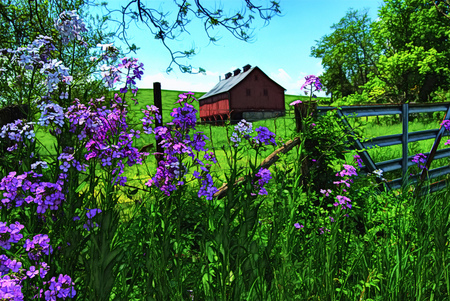 Beauty - flowers, house, peaceful, grass