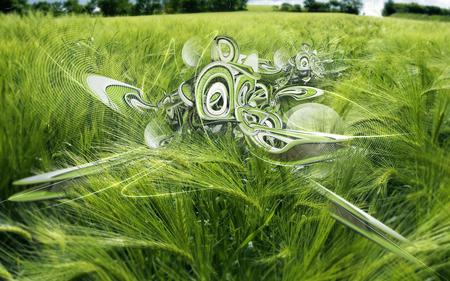 Wheat field - nature, beautiful, green, photoshop, field