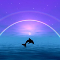 Dolphins