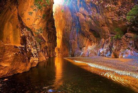 Canyon walls - canyon walls, sunlight, river, rock, plants, colored rock