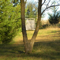 Archery Range Target