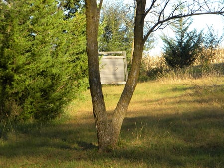 Archery Range Target - fall, archery, nebraska, hunting