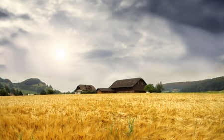 Wheat Field - clouds, house, trees, hills, beautiful, beauty, colors, architecture, wheat, nature, field, houses, peaceful, sky