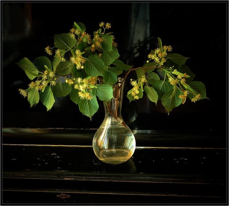 Beautiful yellow - nice, fine art photography, still life, vase, yellow, pretty, cool, beautiful, flowers, photo