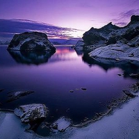 Purple cove