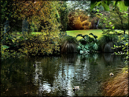 Autumn - forests, nature, rivers, autumn