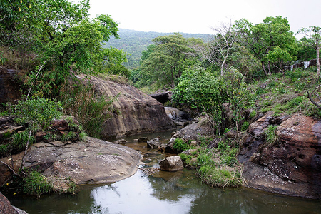 A stream near - nature, rivers, forests, rocks