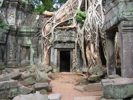 Root and Stone - ruins, cambodia, architecture, roots, angkor wat, religious