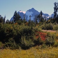 Mount Shuksan Autumn