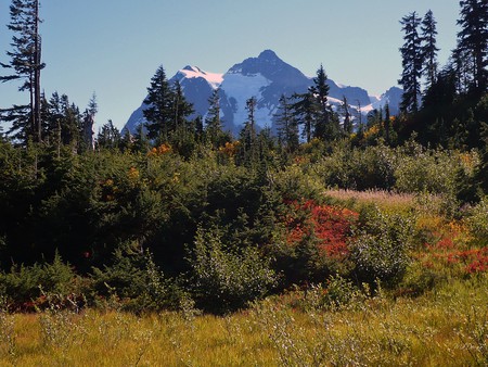 Mount Shuksan Autumn - sky, autumn, fall, trees, leaves, colors, shrubs, washington