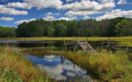 Old Pier - clouds, blue, grass, pads, reflection, pier, lilly, forests, nature, old, lakes, sky