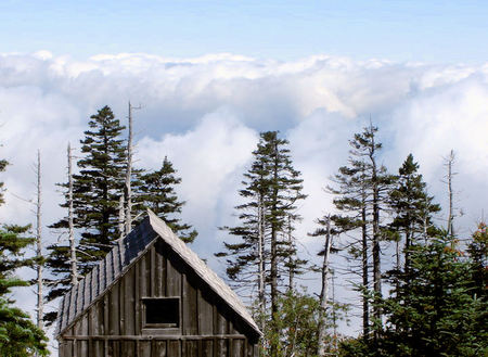 Clouds of life - clouds, nature, heavon, cabin, forest