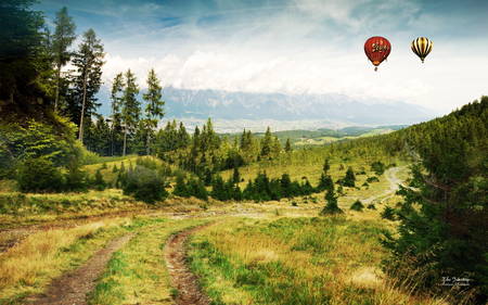 The Journey - baloons, field, grass, trees