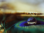 Colourful drop