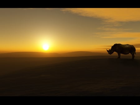 I Stand Alone - sky, silhouette, safari, sun, rhino, savannah, africa, horns, sun rise, clouds, animal