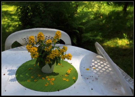 Summer Table - summer, nice, table, photography, nature