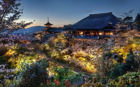 Japanese Garden - oriental cherry, japan, parks, city, lights