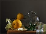 still life 1