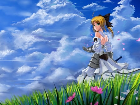 Girl-Samurai - flowers, anime, blue, girl, grass, sky, other, samurai