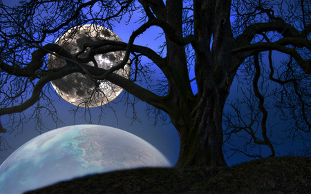 Full Moon - moon, sky, tree, shadow