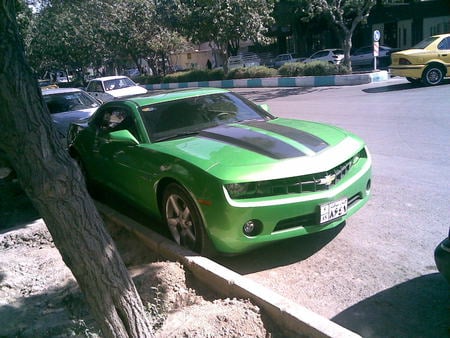 Chevrolet camaro - car, chevrolet, machine, camaro