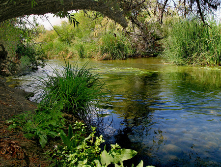 A quiet place - forests, nature, rivers, sky