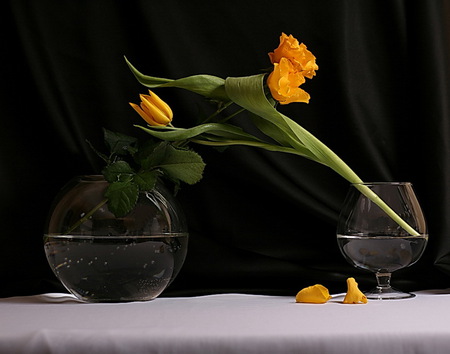 yellow flowers - nature, art photo, still life, yellow flowers