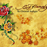 Ed Hardy Roses