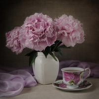 still life