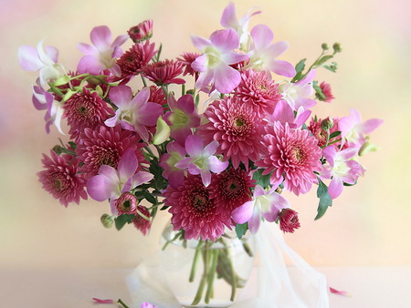 still life - nice, photography, water, bouquet, still life, vase, purple, cool, pink, beautiful, flowers, photo, flower, harmony