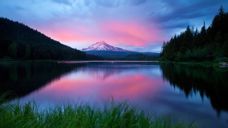 Peaceful Place - lake, reflectionnn, mountain, peaceful, calm, nature, forest, pink, clouds, blue, snow, skies, green, grass