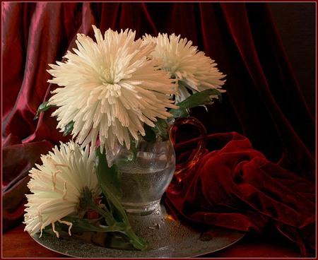 white flower in vase - vase, nature, still life white flowers, nice