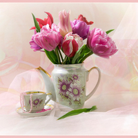 still life