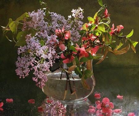 still life 1 - nice, nature, art photo, water, flowers, still life, vase