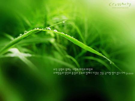 Green - fresh, leaf, nature, green