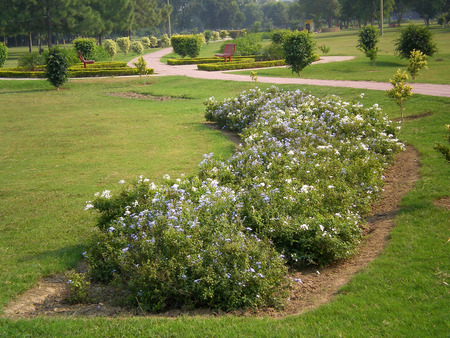 Park - nature, park, other, lahore