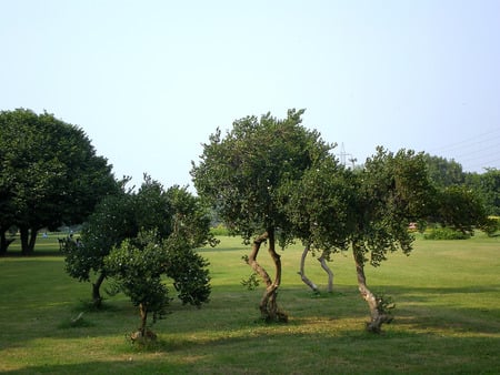 Park - nature, park, lahore, other